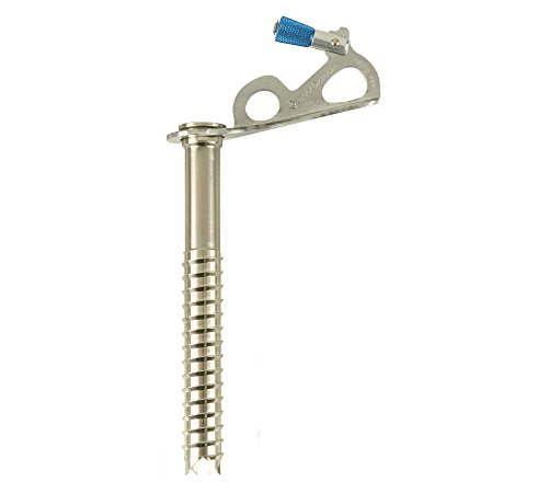 Black Diamond Express Ice Screw, Blue