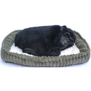 "Sleeping & Breathing" Kitten Dog Breads by Perfect Precious Petzzz - New Soft Version (Gorilla)