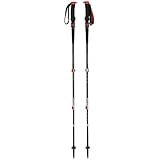 Black Diamond Trail Pro Shock Trekking Poles