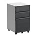Ameriwood Home Altra Pursuit Mobile File Cabinet, White/Gray