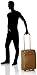 Hartmann Ratio Classic Deluxe Global Expandable Upright Carry On Luggage, Safari