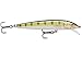Rapala Husky Jerk 08 Fishing lure, 3.125-Inch, Yellow Perch, 6