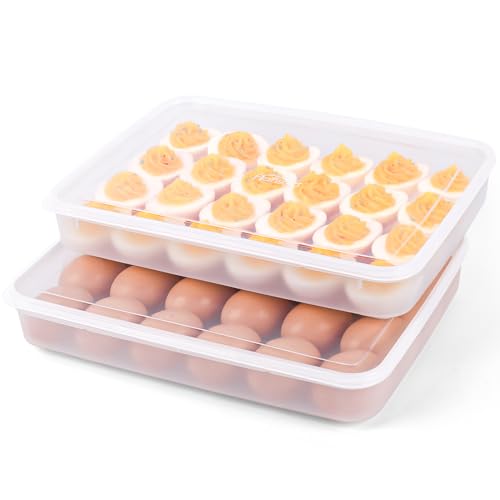 HANSGO 2 Pack Deviled Egg Containers with Lid, Portable Devil Egg Holder for 48 Eggs Clear Deviled Egg Carrier Tray for Home Party Kitchen Fridge Organizer