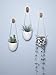 Mkono Ceramic Hanging Planter Modern Wall Flower Pot for Succulent Herb Air Plant Live or Faux Plants Home Decor, Set of 3thumb 3