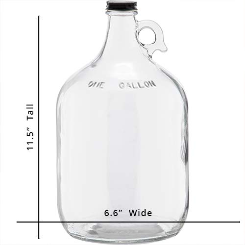 CStore Packaging 1 Gallon (128 oz) Clear Glass Jug With 38mm Cap