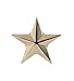 3D 5 Point Gold Star Lapel Pin