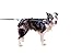 Non-stop dogwear Freemotion Harness: Padded for Active Dogs, Canicross, Skijoring & Bikejoring (7)