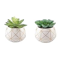 Flora Bunda Artificial Plants Cactus Set of 2 Mid Century Artificial Succulent in 4" Geometric Gold Round Ceramic Planter Mid Century