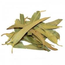 Résultat de recherche d'images pour "tisane eucalyptus"
