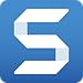 Snagit 13 [Online Code]