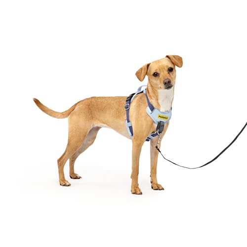 PetSafe Easy Walk Comfort No-Pull Dog Harness Full-Body Padding - Better Walks on 1st Use - 5 Points of Adjustment, XS, Small, Medium & Large Dogs, Blue/Black/Green/Pink