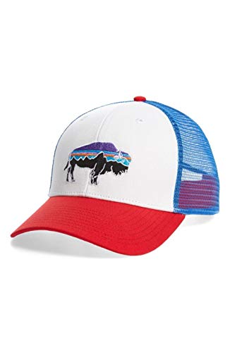 patagonia mens snapback hats