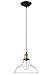 Pendant Lights Hanging Glass Ceiling Mounted Chandelier Fixture,Oak Leaf Vintage Industrial Edison Glass Ceiling Pendant Lighting