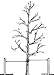 HORTtie Tree Tie Staking & Guying Material, 40 feet, Commercial Grade USA Made!