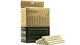 Biodegradable Paper Straws – Premium 100 Jumbo Kraft Straws Dye-Free Paper Straws – Compostable Plastic-Free Bulk – Eco-Friendly & Zero-Waste (Jumbo 7.75