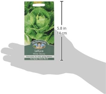 Mr Fothergill's 19517 Vegetable Seeds, Lettuce Winter Density - Image 4