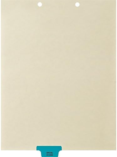 Medical Arts Press Match Colored End Tab Chart Dividers- Special Studies, Position 3 (100/Pkg) (56811)