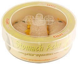 Giant Microbes Stomach Ache Shigella Dysenteriae Petri Dish