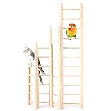 4 Different Sizes Bird Toys Wooden Ladder, Parakeet