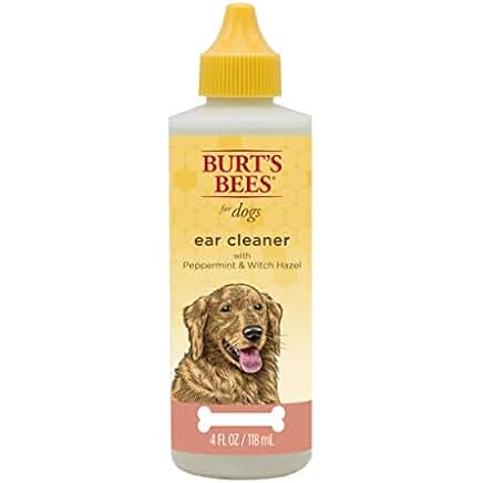 Artistic Can I Use Witch Hazel On My Dog Artwork Collection Artistic Can I Use Witch Hazel On My Dog Artwork Collection