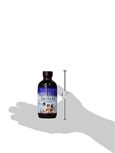 Planetary Herbals Planetary Loquat Respiratory Syrup for Kids, 4 Fluid Ounce