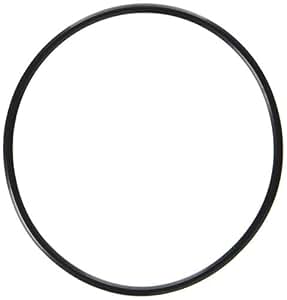 Waterway 805-0239 O-Ring Für Serviceable Swing Check Valve Cover – Ersatzteil Von Waterway