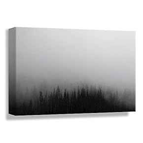 B2T  Canvas Wall Art Dim Forest Fog in Winter Morning Painting Artwork for Home Prints Framed - 12x18 inches
