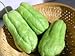 Fresh Chayote (Sechium edule) Mirliton Choko Tropical Importers (3 Lb)