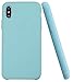 Soft Liquid Silicone iPhone X Cover Case Inner Soft Microfiber Cloth Lining Cushion for Apple iPhone X/10 5.8inch (Mint)