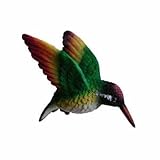 Clark Collection CC52039 Rainbow Hummingbird