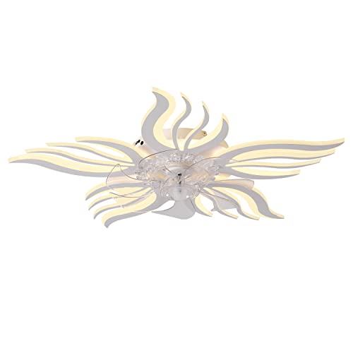 HUEOCZW Ceiling Fans with Lights and Remote，27