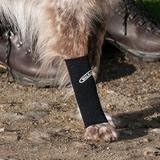 Walkabout Harnesses Canine Compression Sleeve