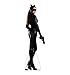 Advanced Graphics Catwoman Life Size Cardboard Cutout Standup - The Dark Knight Rises (2012 Film)