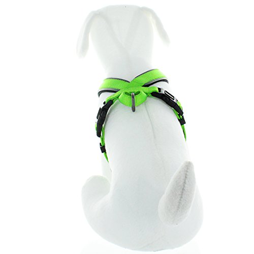 Pawtitas Pet Training Soft Adjustable Reflective Padded Puppy / Dog Harness Extra Small Green