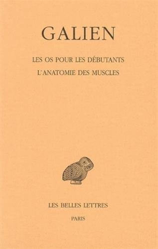 Les  os pour les débutants