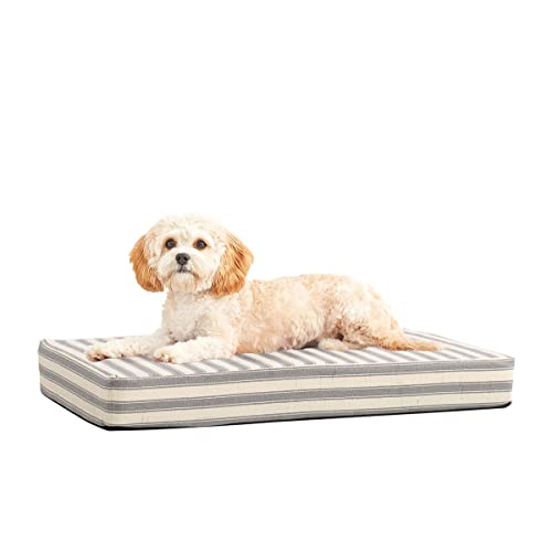 Barkbox Memory Foam Platform Dog Bed Plush Mattress for Orthopedic
