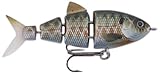 Spro SB25 BBZ1 Swim Bait-Pack of 1, Killer Gill