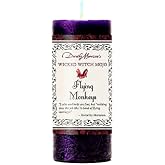 Wicked Witch Mojo - Flying Monkeys Candle