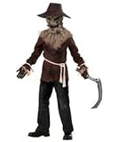 California Costumes Boys Wicked Scarecrow