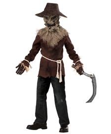 California Costumes Boys Wicked Scarecrow