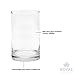 Royal Imports Flower Glass Vase Decorative Centerpiece for Home or Wedding - Cylinder Shape, 16