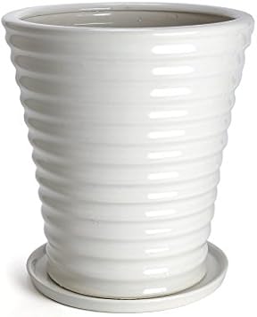 Amazon Co Jp 鉢 Kaneyoshi 陶器 植木鉢 白 おしゃれ 12号 受皿付き Diy 工具 ガーデン