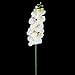 1 Piece Simulation Butterfly Orchid Artificial Flower Plant Home Decoration White