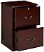 Z-Line Designs 2-Drawer Vertical File Cabinet, Cherry