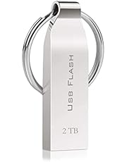 ivymoe USB 3.0 Flash Drive 2TB Waterproof Thumb Drive Metal Memory Stick USB Flash Drive with Keyring Large Capacity USB Drive USB Stick Storage Jump Drive Pen Drive for Laptop Computer Tablet