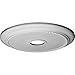 Ekena Millwork CM24CR 24 1/8-Inch OD x 4 3/8-Inch ID x 2 1/4-Inch P Crendon Ceiling Medallion