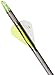 Gold Tip Hunter XT Arrows with Raptor Vane (Pack of 6)