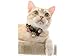 Necoichi Kimono Bow Tie Cat Collar (Black)