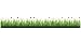 Crearreda CR-53004 Grass and Ladybugs Border Decal, Green