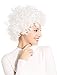 HÖTER Curly Afro Wig,Costume Wig,Clown Wig,Assorted Colour